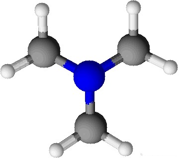 Trimethylamin 2.5